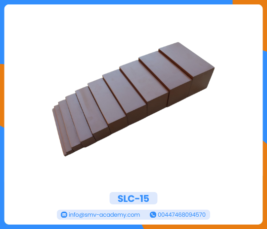 السلم البني